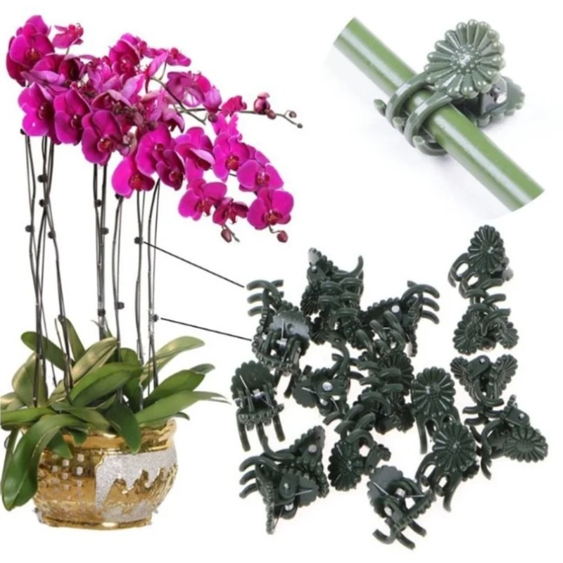 

50 шт./лот зажимы для поддержки растений аксессуары пластиковый букет винограда фиксирующий Зажим фаленопсис зажим для прививки товары для ...