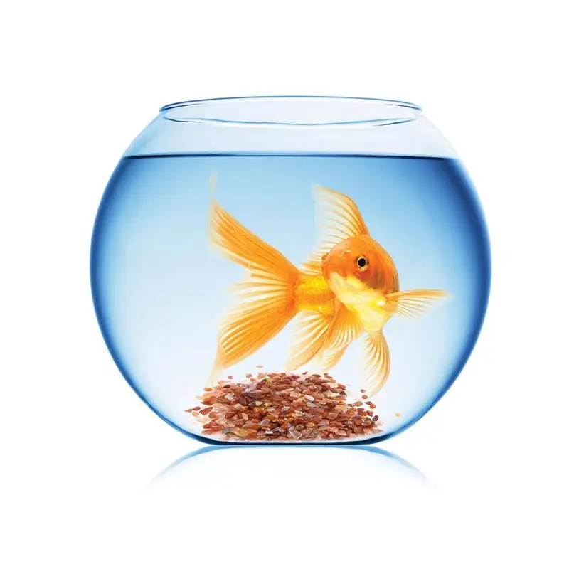 100 г полированный гравий смешанные цвета декоративные камни речной породы