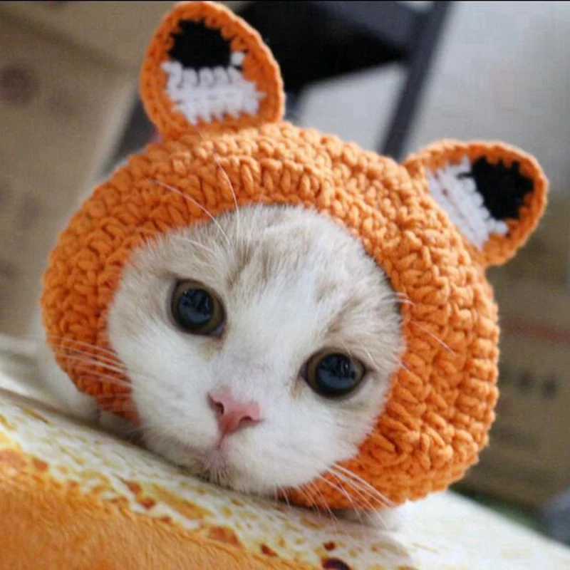 Winter Warm Hond Kat Hoed Leuke Kostuum Hond Accessoires Cartoon Dieren Vormen Hoofddeksels Kerst Nieuwjaar Cap Voor Kitten Puppy Winter Warm Hond Kat Hoed Leuke Kostuum Hond Accessoires Cartoon Dieren Vormen Hoofddeksels Kerst Nieuwjaar Cap Voor Kitten Puppy