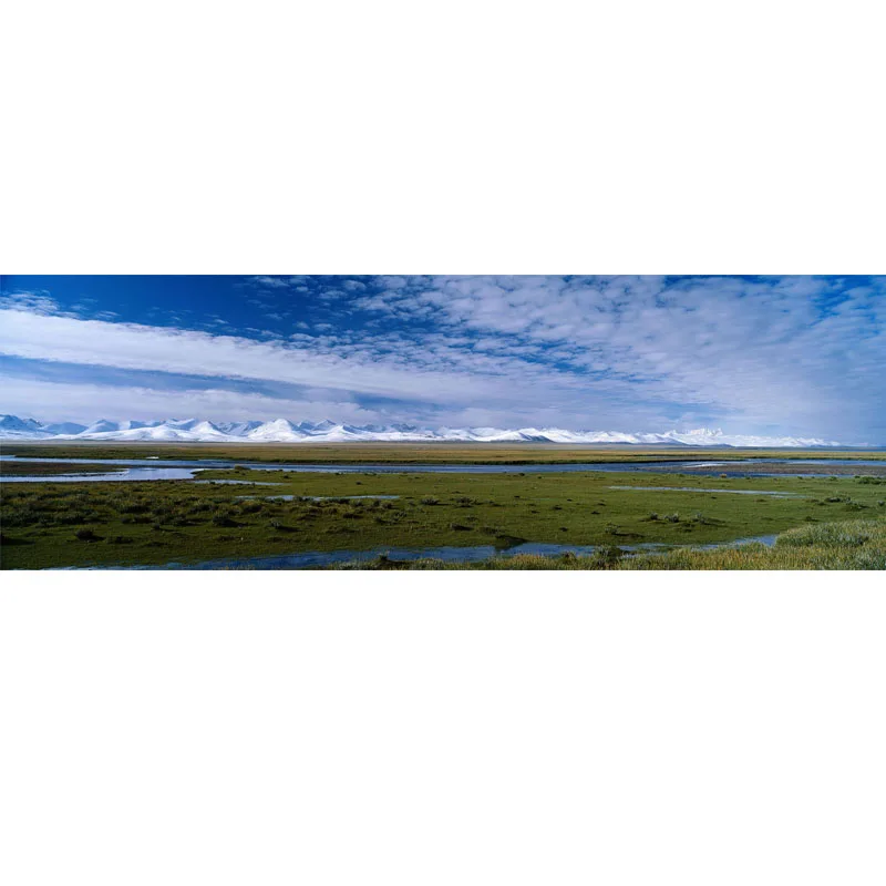 Nitree пастбище пейзаж большая стена закат фотостудия реквизит фотография задний