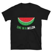 watermelon summer one in a melon tshirt short sleeve unisex t shirt