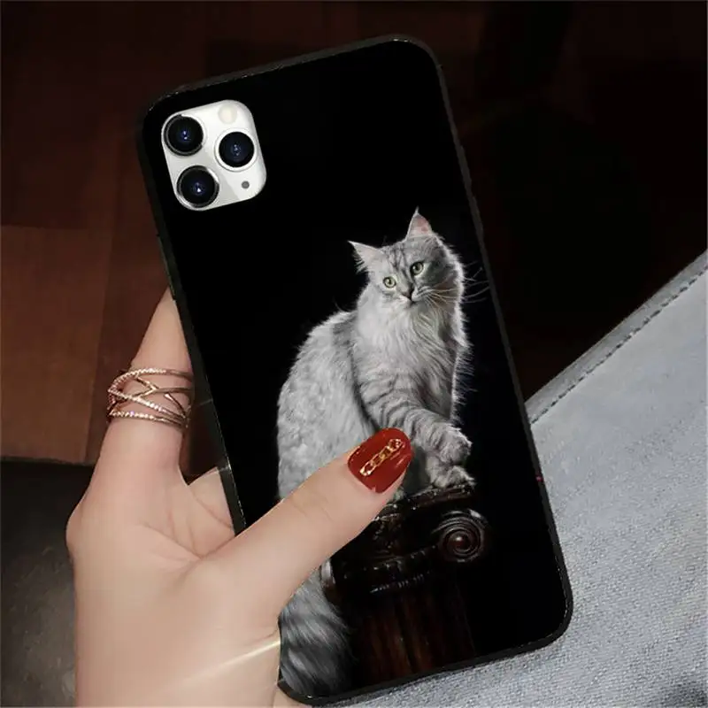 

maine coon cat pet animal Phone Case for iPhone 11 12 pro XS MAX 8 7 6 6S Plus X 5S SE 2020 XR luxury design cover coque