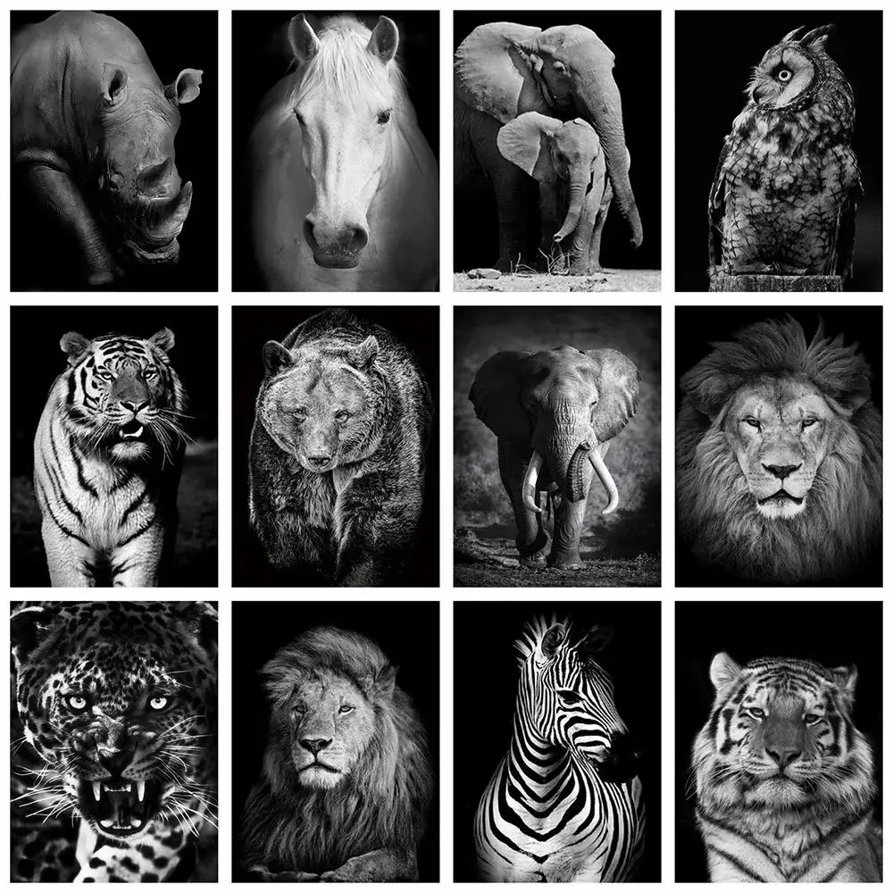 

Diamond Painting Black White 5D DIY Full Square Diamond Embroidery Animals Cross Stitch Mosaic Rhinestone Home Decor