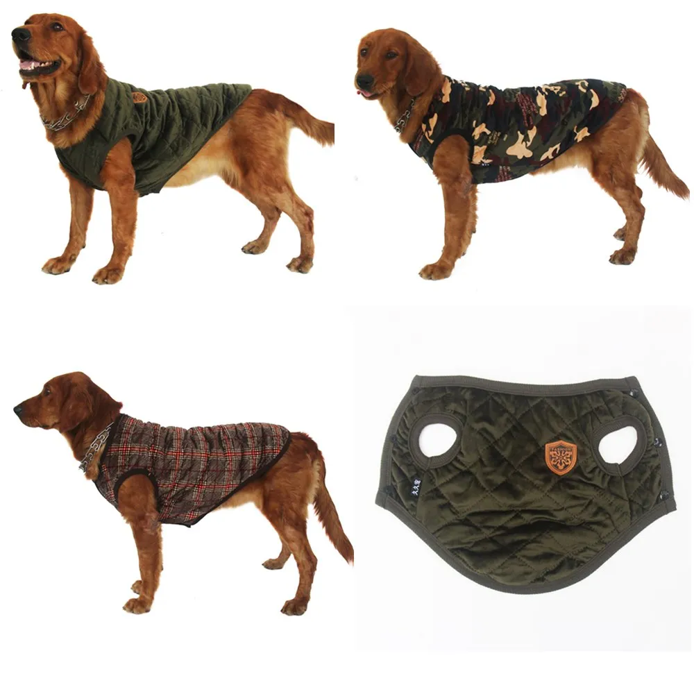 Большая фотосессия для маленьких собак Большой Золотистый ретривер фотоодежда