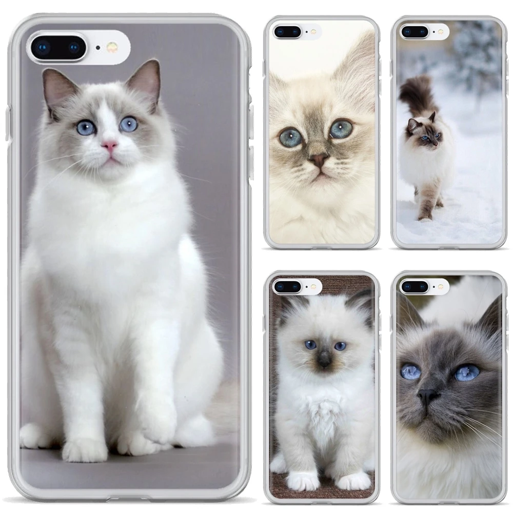 Силиконовый чехол для телефона Huawei Honor 6 6A 7 7X 7A 7C 8 8C 8X 9 9X 10 10i 20 Lite Play Pro pet ragdoll cat blue eyes