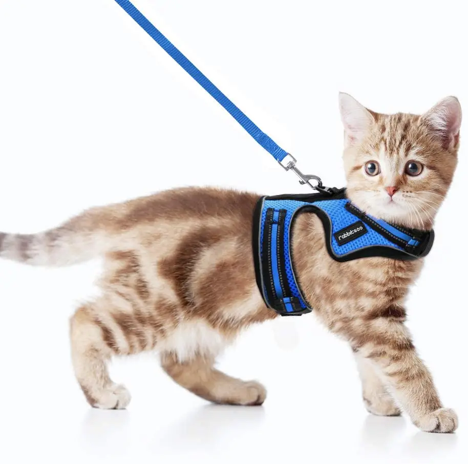 

Rabbitgoo Cat Harness and Leash Set for Walking Escape-Proof No Choke Reflective Cat Vest Harnesses for Small Medium Kitten