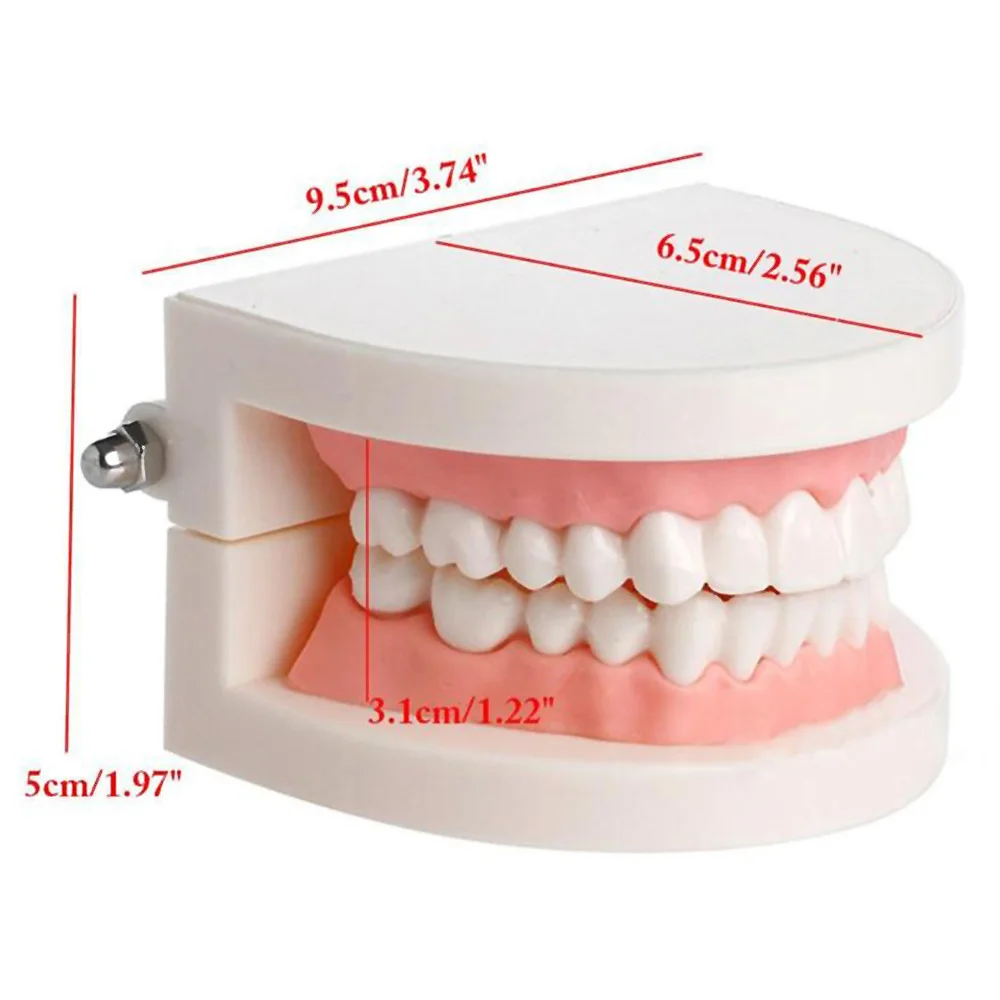 

Oral Hygiene
