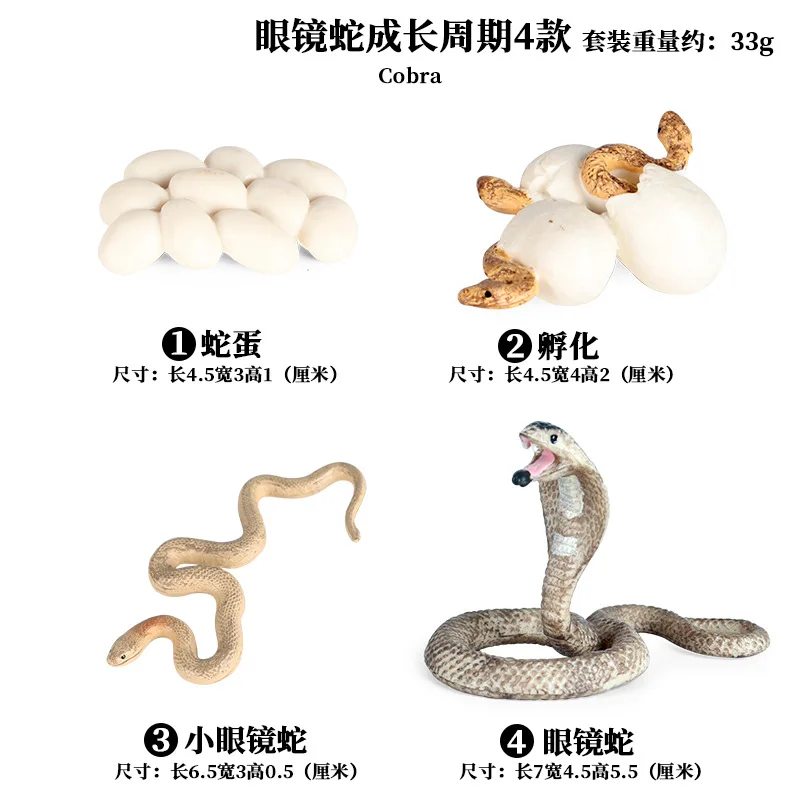 

New Styles 4pc/ Set Children's toy simulation wild animal model reptile boa constrictor cobra rattlesnake ornaments