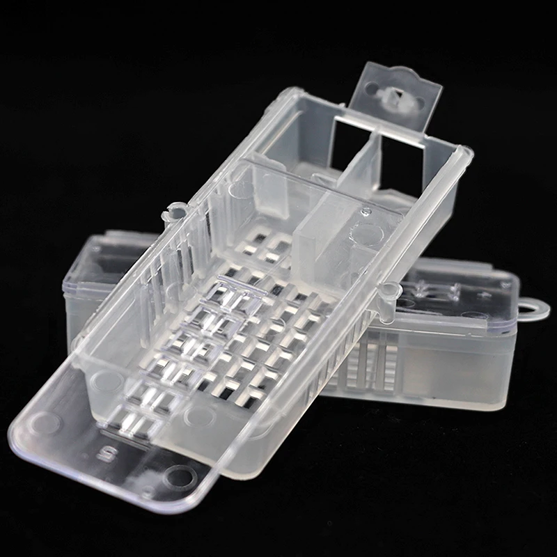 4 Pcs Bee Tools Transport Cages Beekeeping Equipment Queen House Beehive White transparent Cage | Дом и сад