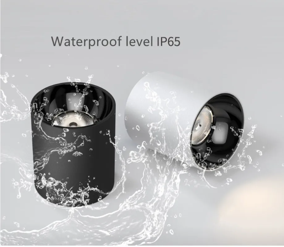 Ceiling Anti-fog Spotlights