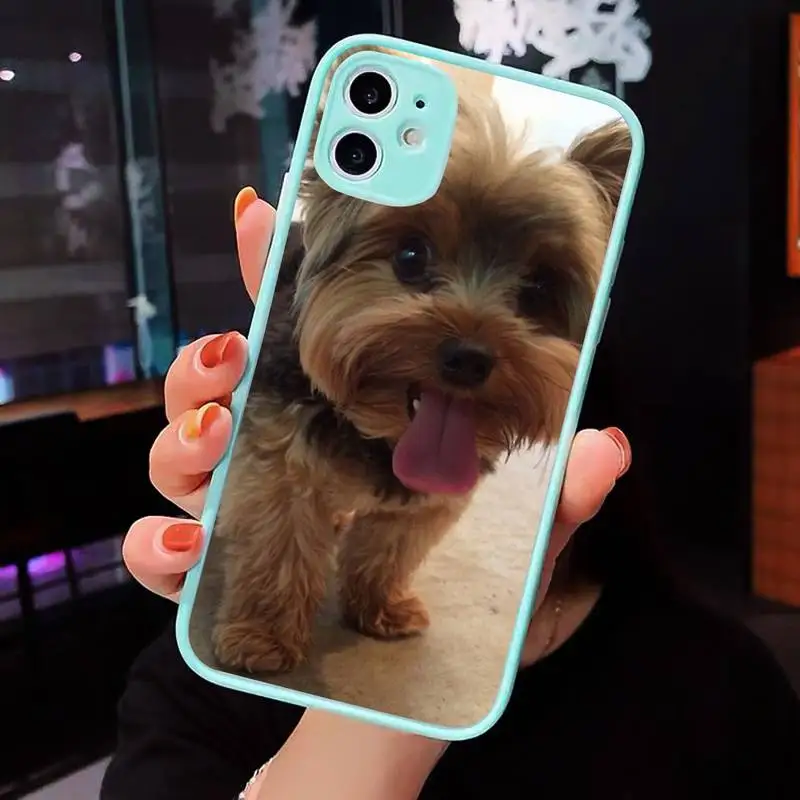 

Phone Case For iPhone 12 11 Mini Pro XR XS Max 7 8 Plus X Yorkshire Terrier dog Matte transparent blue Cover
