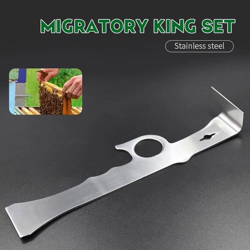 Скребок для пчеловодства из нержавеющей стали | Дом и сад