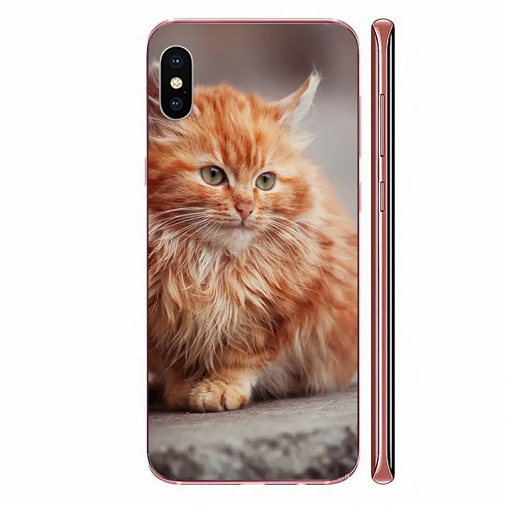 Мягкие чехлы из ТПУ для телефонов с принтом кошек и мейн-енов Sony Xperia Z Z1 Z2 Z3 Z4 Z5 compact