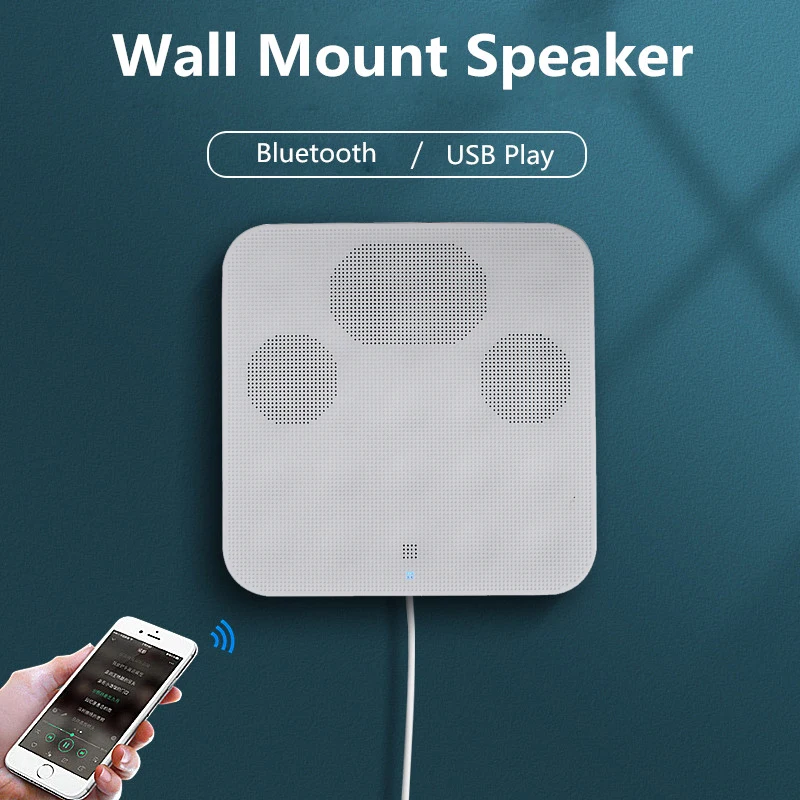 Wall Mount Speaker Bluetooth Connection USB Player In Wall ABS Cabinet For Public Address In Restaurant Small Store