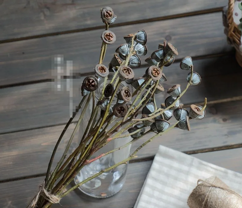 Сушеные цветы с солнечной системой Botany особенно увеличивающие голубой