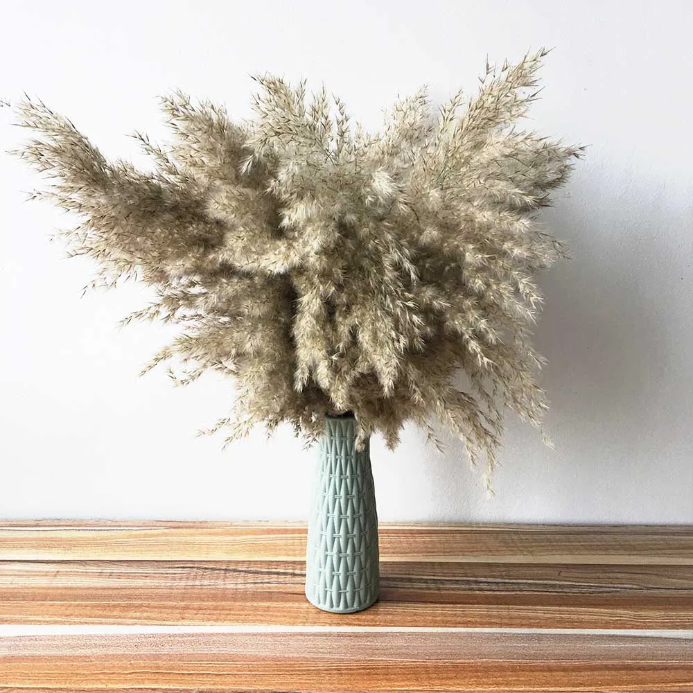 10pcs beautiful natural pampas grass dried flower matching plastic vase for wedding stage decoration Natural bouquet | Дом и сад
