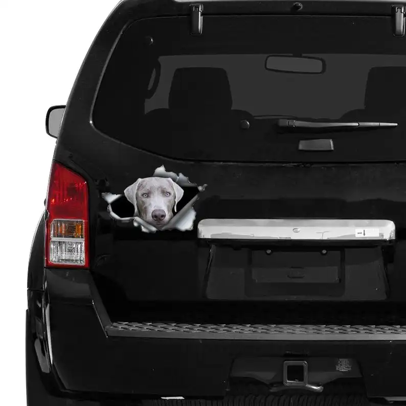 

2021 Silver Lab car decal, Grey labrador decal, Labrador sticker, pet decal