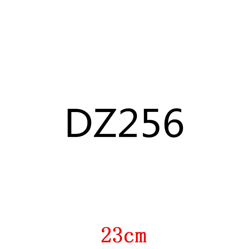 

DZ256-23