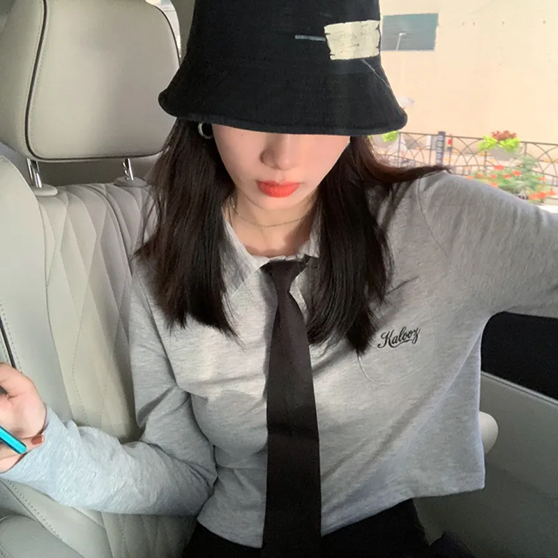 

Женская футболка с длинным рукавом и вышивкой, 2 цвета