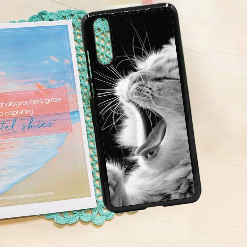 

Cute cat animal mobile fundas Phone Case PC for iPhone 11 12 pro XS MAX 8 7 6 6S Plus X 5S SE 2020 XR