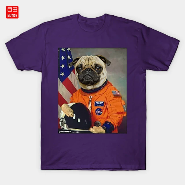 pug with shirt
