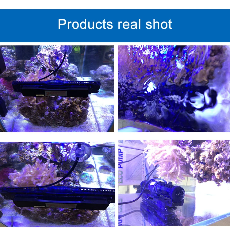

Cp Scp Series Wifi Cross Flow Pump Marine Aquarium Fish Tank Wave Maker