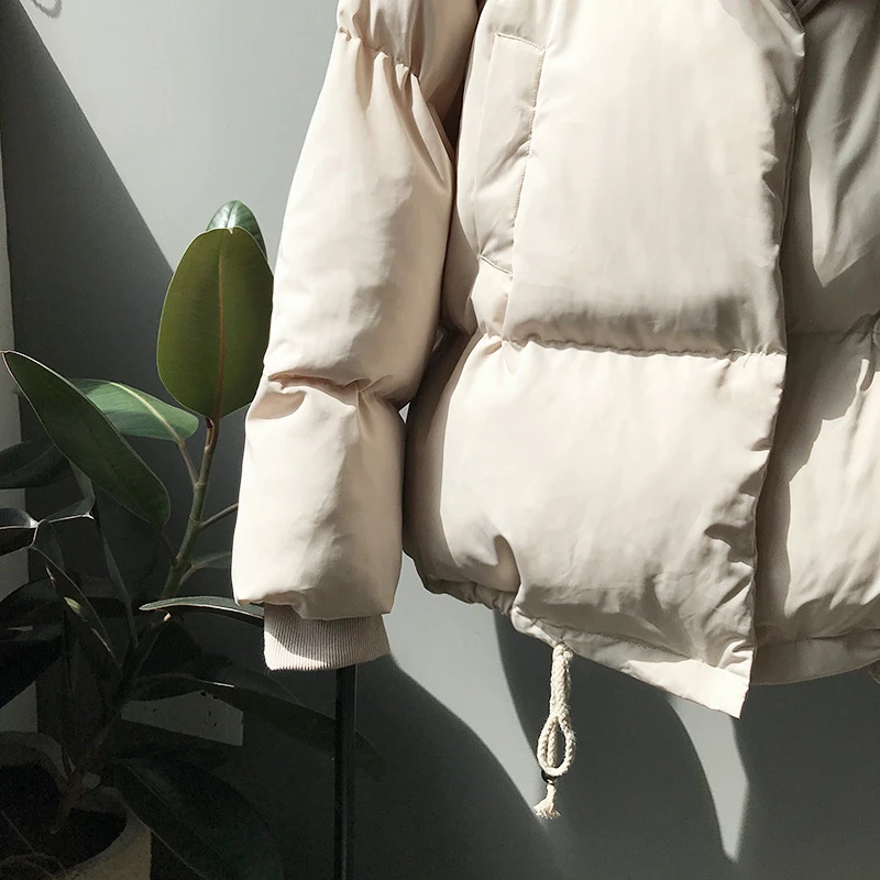 

Stand Collar Loose Thick Winter Jacket Women Korean Modis Ins Solid Woman Parkas 2020 New Arrival Short Warm Coat