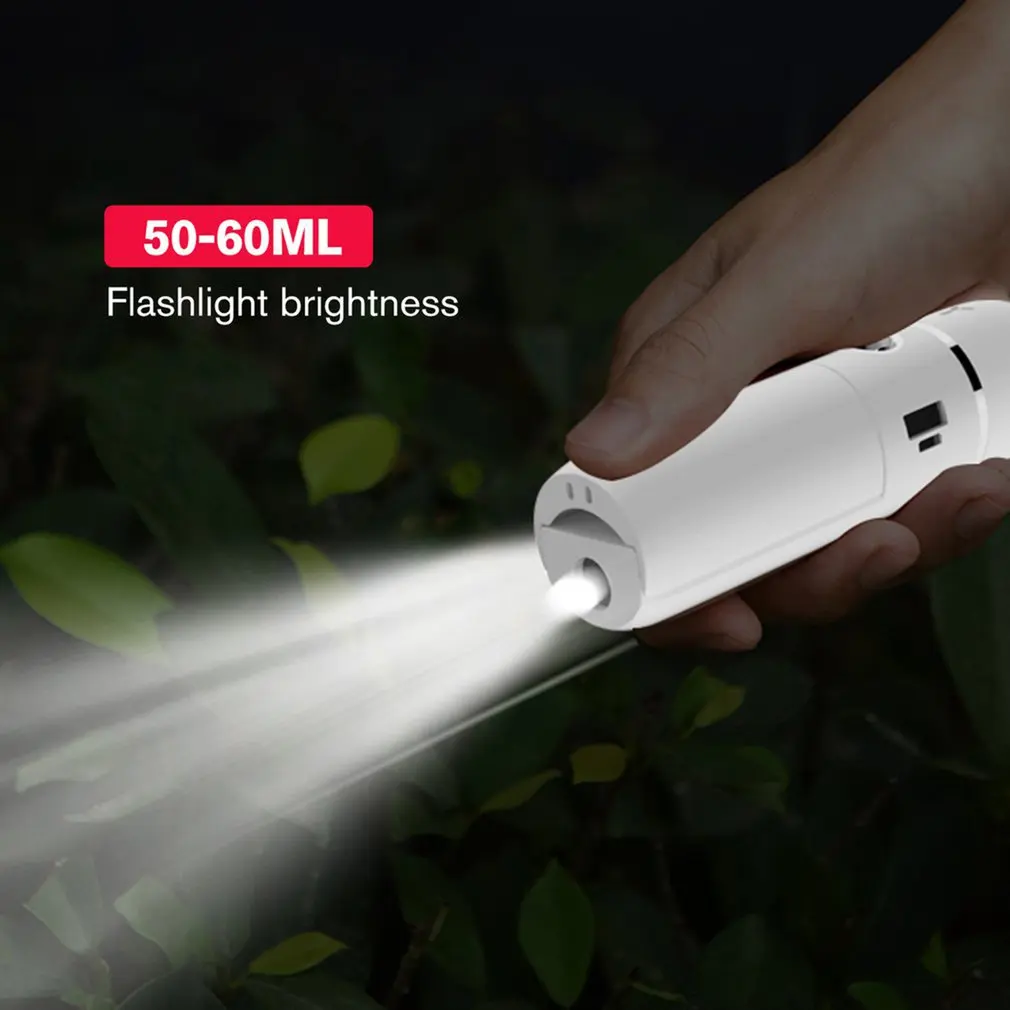 

Water Replenishment Instrument Spray Instrument Portable Moisturizing USB Charging Small Fan Multi-function Beauty Instrument