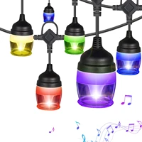 bluetooth led outdoor string lights 45ft rgb waterproof patio string lights music sync with 12pc hanging dimmable bulbs