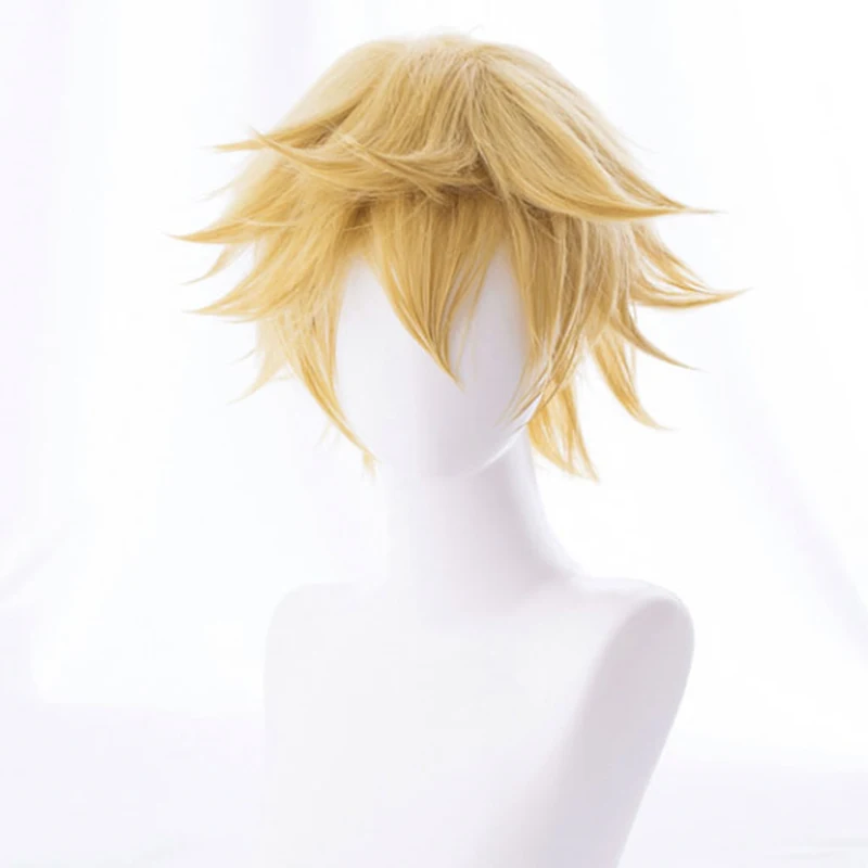 Парик для косплея из аниме таблетки на работе T Saibou синтетический Хэллоуина