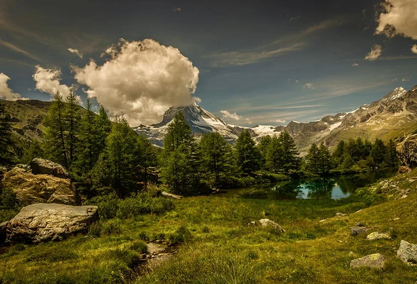 

Wild scenery backgrounds photography vinyl Fotografia forest lake photo backgrounds for photo studio backdrops props lv-1807