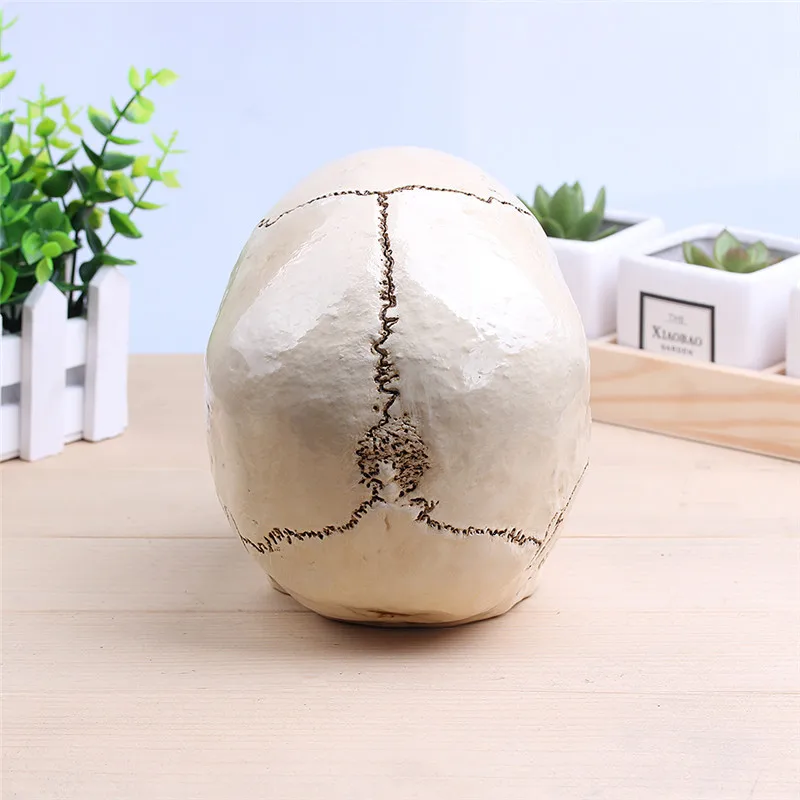 

[MGT] Skull Resin Crafts Halloween Decorations Sculpture Statues Sketch Props Bar Clothing Store Decoration