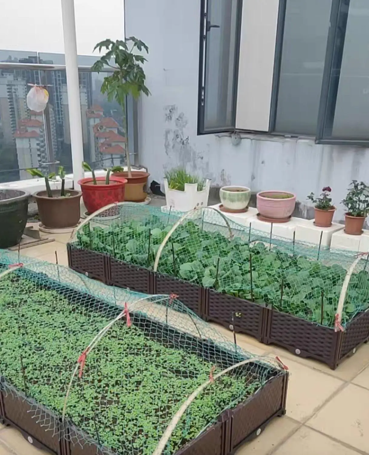 Сетка для птиц синяя защитная сетка сада 10 м оптом|fence mesh|chicken fencechicken mesh fence |