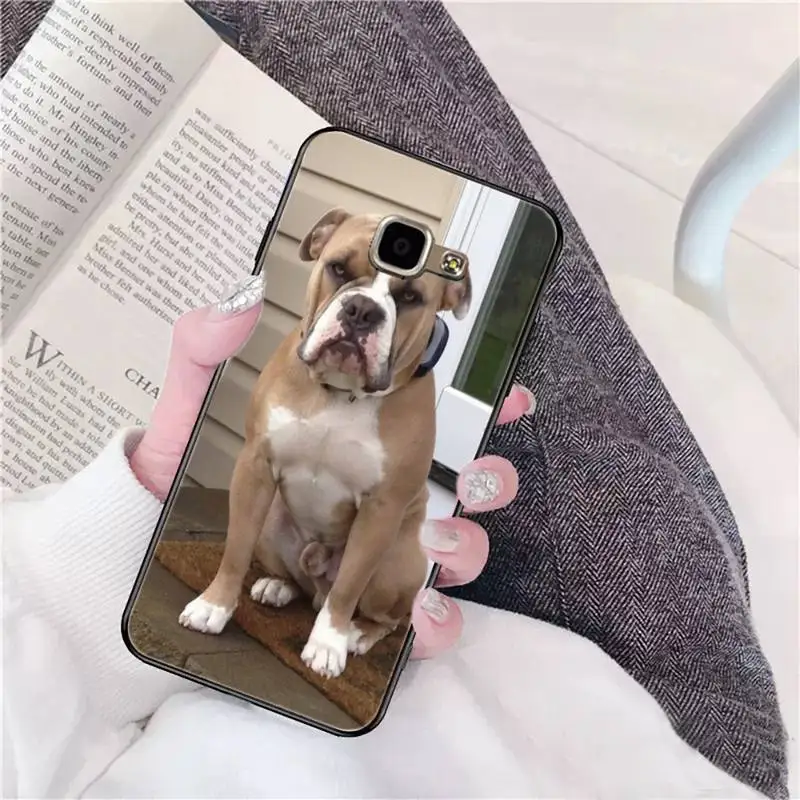 Питбуль прекрасная собака защитный чехол для телефона задней панели мобильного