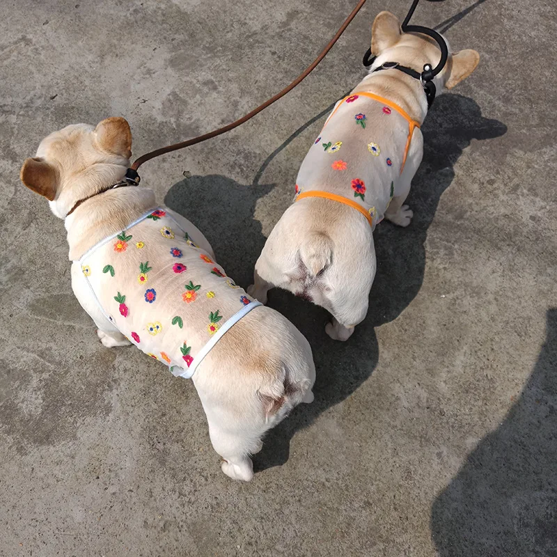 _ Одежда для кошек корейский короткий жилет и собак Тедди шнауцер одежда щенков