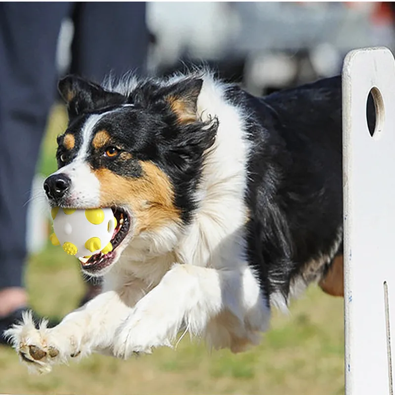 

Pet Toy Spherical Dog Toy Rubber Molar Stick Resistant To Biting Bone Toothbrush Dog Toy Chewing Interactive Training Play