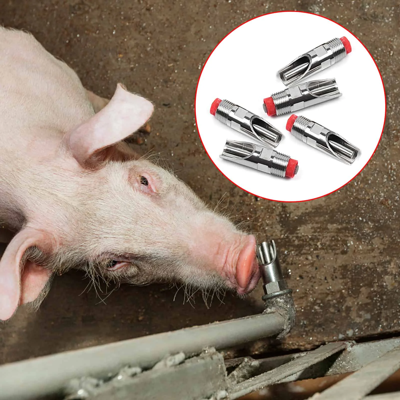 

5/10 шт., кран для питьевой воды, из нержавеющей стали