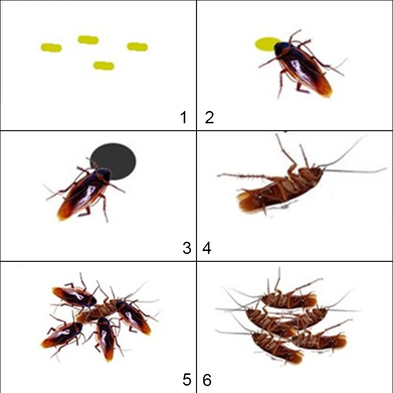 5 шт. новый лекарственный яд от тараканов уничтожения борьбы с вредителями