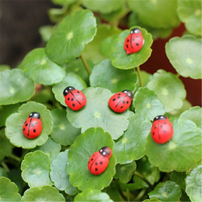 100 шт. деревянная Божья коровка стикер дети окрашенные клей обратно DIY ремесло