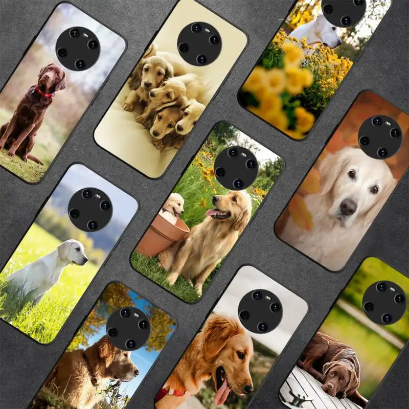 

Labrador Dog Phone Case For Huawei Y 5 Y62019 Y52018 Y92019 Luxury funda case for 9prime2019