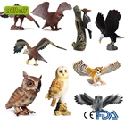 Имитация диких животных, Орел, сова, морской Орел, детеныш, модель, фигурки, коллекционная обучающая игрушка для детей, подарок для детей