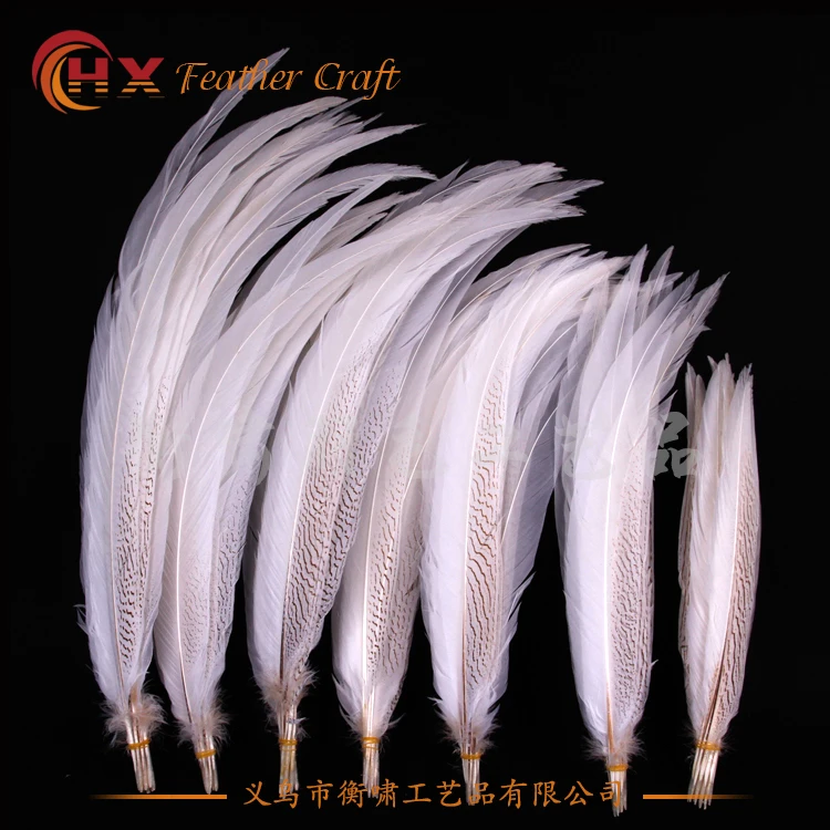 Оптовая продажа натуральные серебряные перья из хвоста фазана 10-80 см белые для