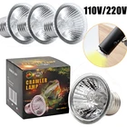 Лампы нагревательные ультрафиолетовые для черепахи, амфибий и ящериц, 255075 Вт, 3 шт.