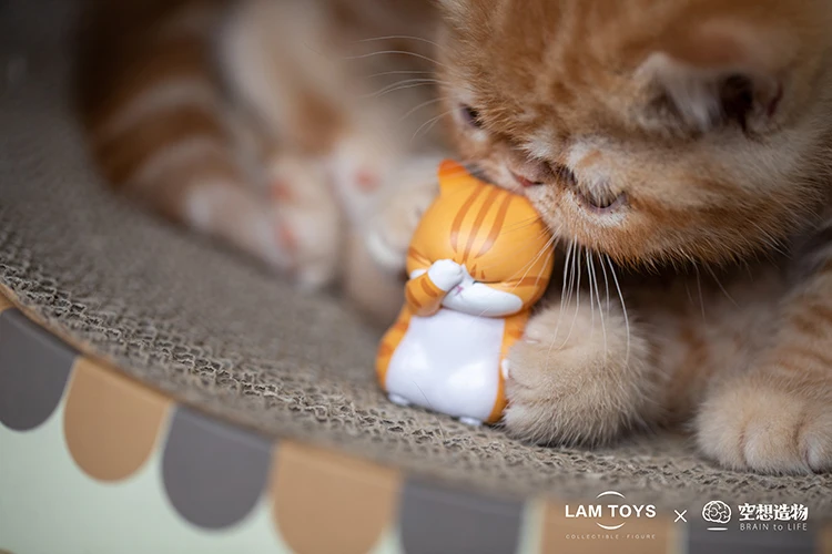 Во-вторых лошадь дядя кошка глухая коробка не мечтать и беспокоиться колокольчик