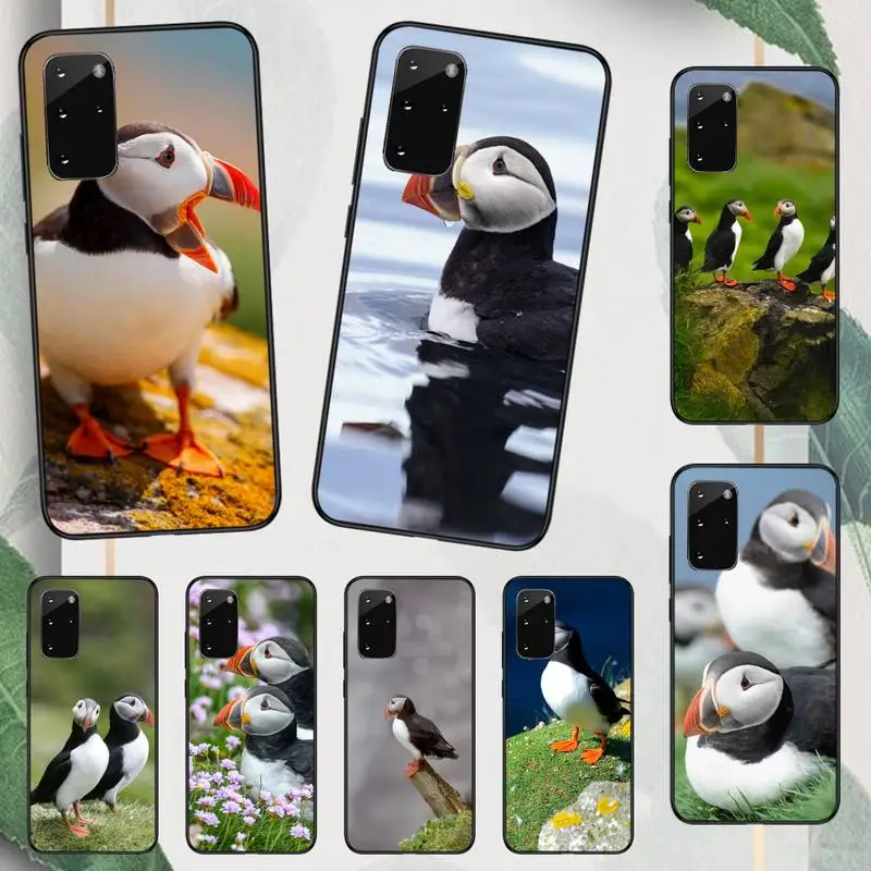 

Puffin Animal cute Phone Case For Samsung galaxy A S note 10 12 20 32 40 50 51 52 70 71 72 21 fe s ultra plus