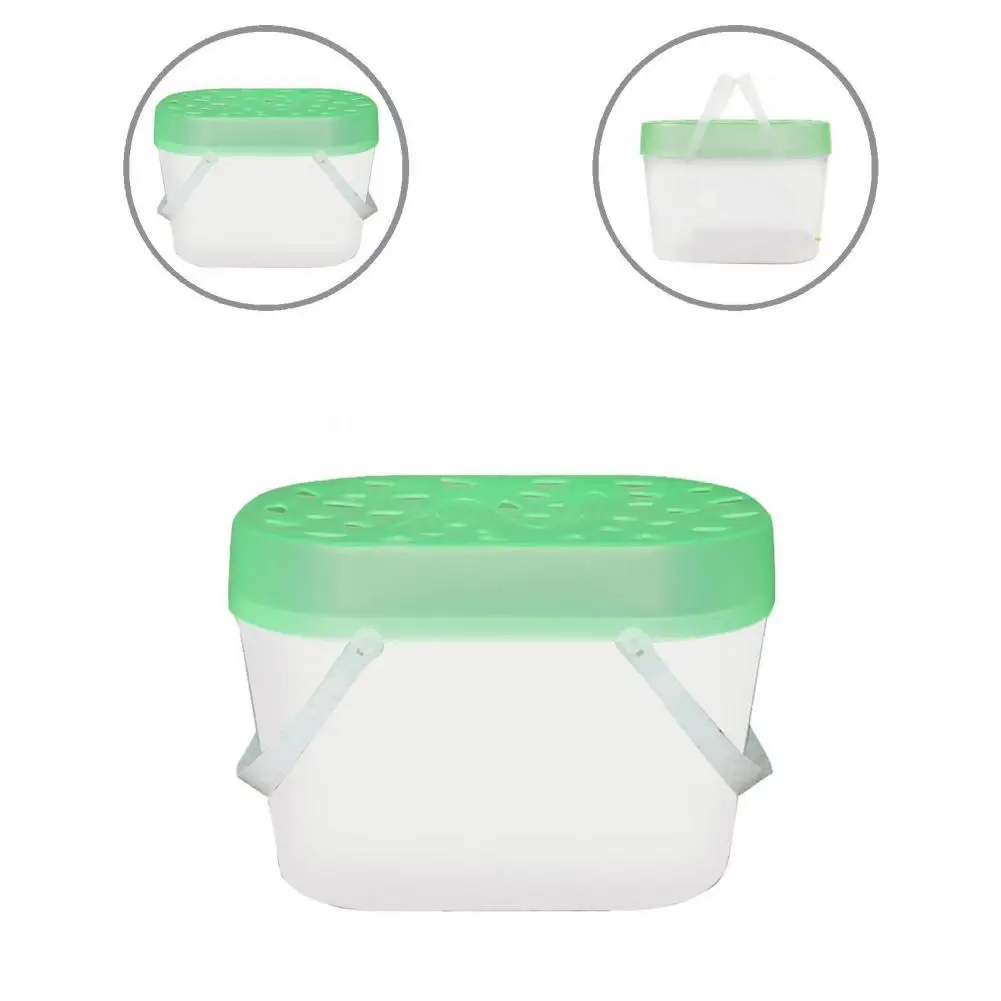 

Fall Resistant Multi-size Small Animal Clear Transport Container for Snails