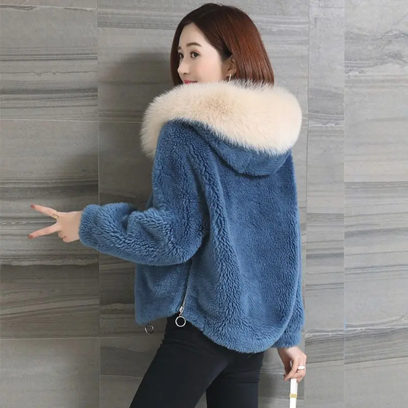 2021 Winter Coats Women Faux Fur Coat with A Hooded Fluffy Artificial Jacket and Puls Size Wine Red Blue Beige | Женская одежда