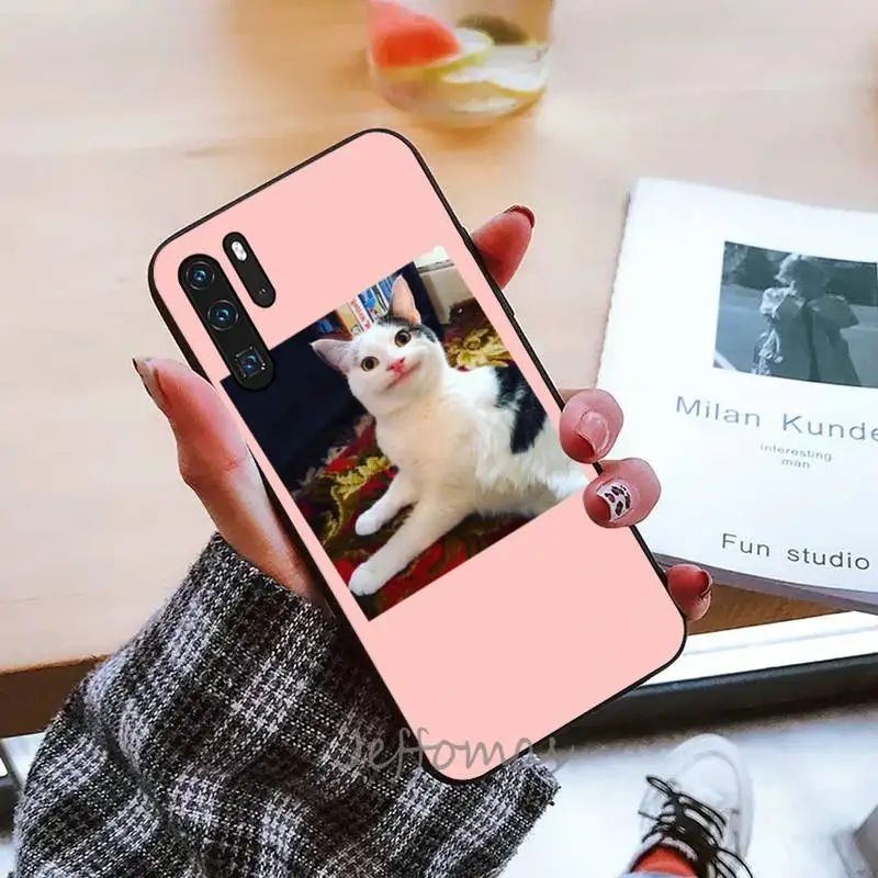 

cute cat cartoon Phone Case For Huawei P9 P10 P20 P30 Pro Lite smart Mate 10 Lite 20 Y5 Y6 Y7 2018 2019