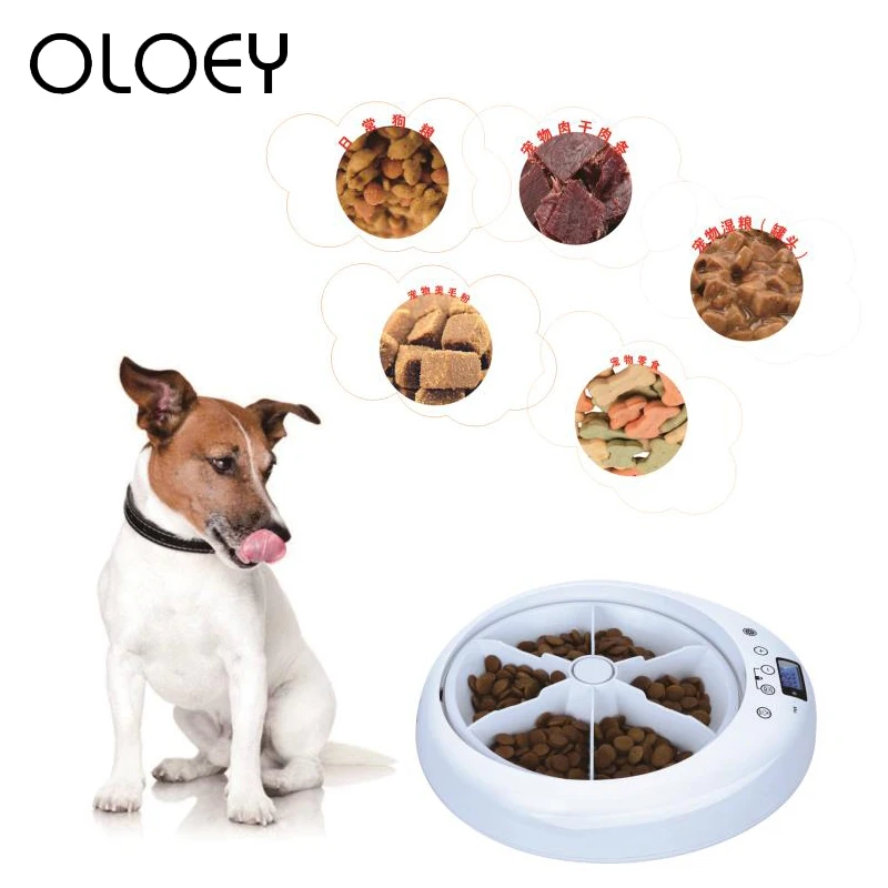Automatic Pet Dog Timer Feeder 6 Grids Recording timing LCD Digital Feeding Bowl Dispenser for Cat Dry And Wet Food Plate | Дом и сад