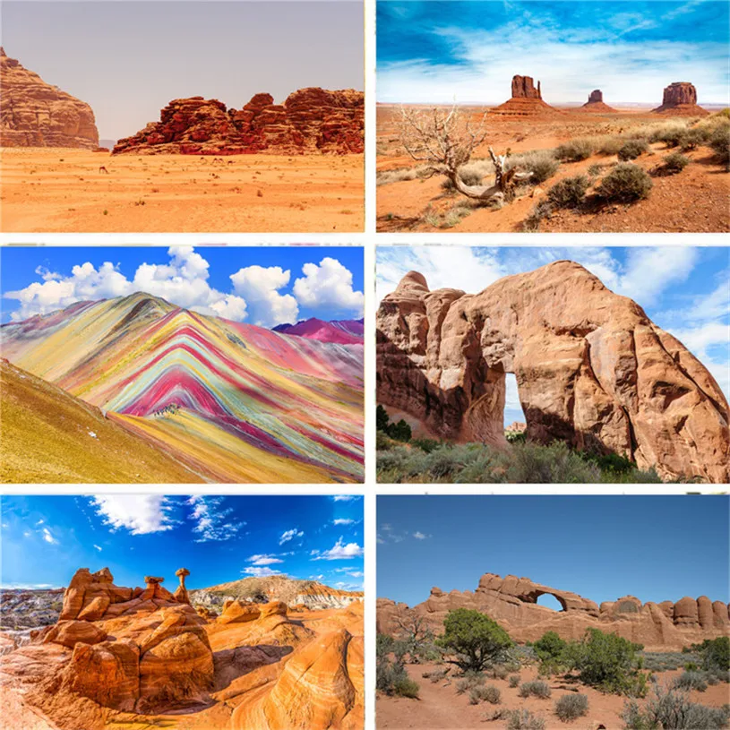 Фотостудия фотография Фон Гоби пейзаж кактус HD узор Виниловый фон ткань